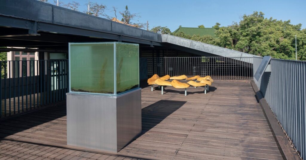 萬物皆有其水 Everything has its water，丁昶文 Chaong-Wen Ting，Courtesy of the Artist.